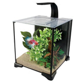 Fluval Betta Aquarium Kit 20l