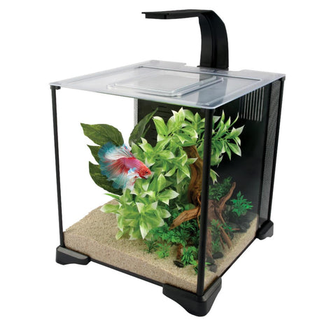Fluval Betta Aquarium Kit 20l