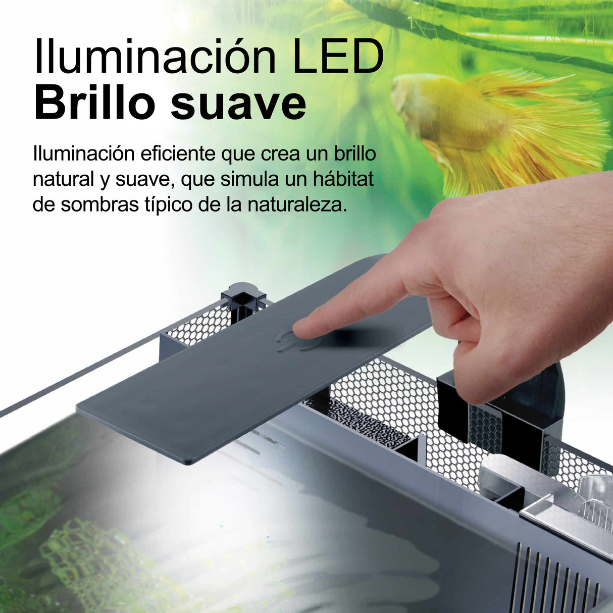 Fluval Betta Aquarium Kit 20L