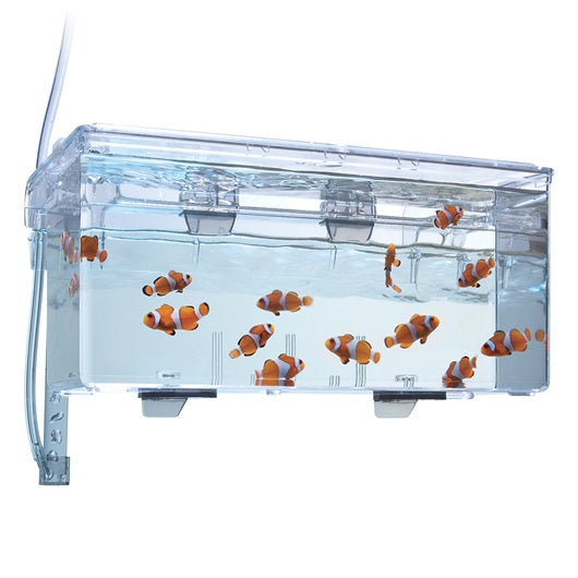 Caja de cría de peces Fluval