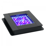 Pantallas de iluminación con bluetooth Fluval Sea Marine Spectrum