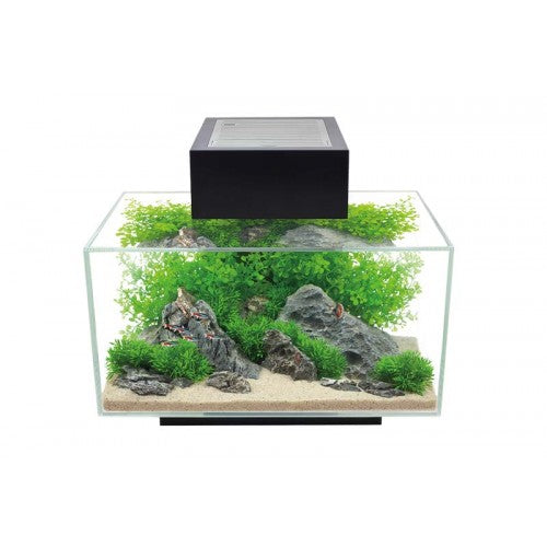 Acuario Fluval Edge - 23L