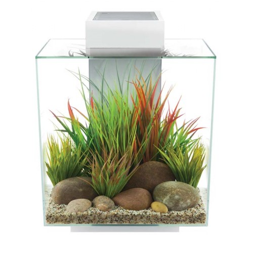 Acuario Fluval Edge - 46L