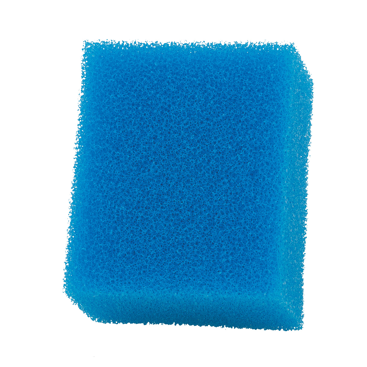 Bio-esponja azul para filtro AquaClear Fluval AC -Pack de 1