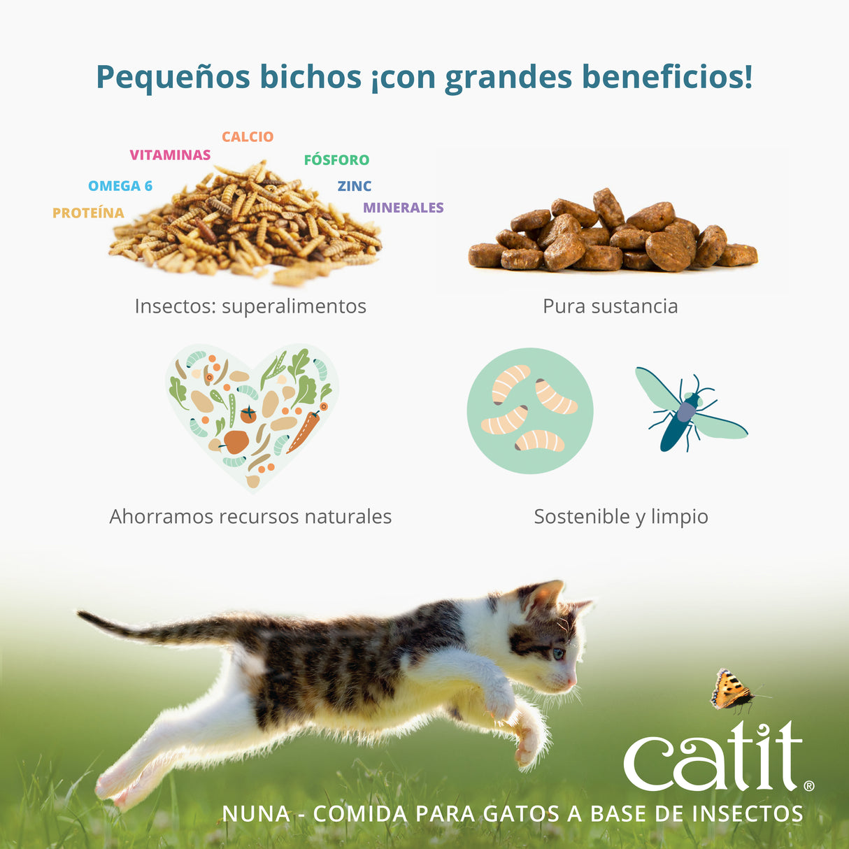 Catit Nuna - Pienso para gatos a base de proteínas de insectos