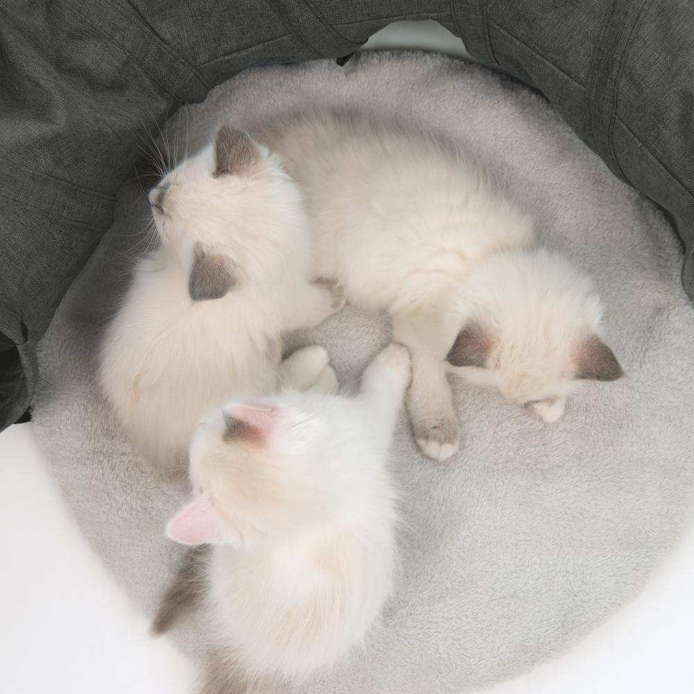 Túnel para gatos con cojín Catit Vesper Tunnel