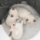 Túnel para gatos con cojín Catit Vesper Tunnel