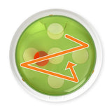 Juguete interactivo para gatos Catit Senses 2.0 Bouncy Ball Dome