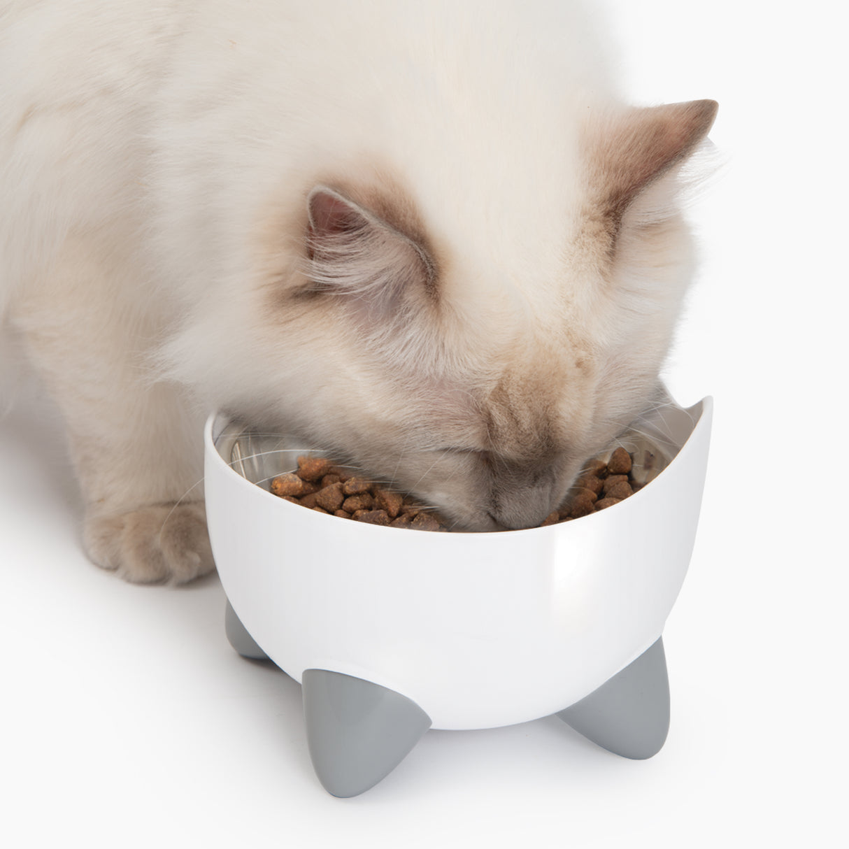 Combo de fuente y comedero para gatos Catit PIXI