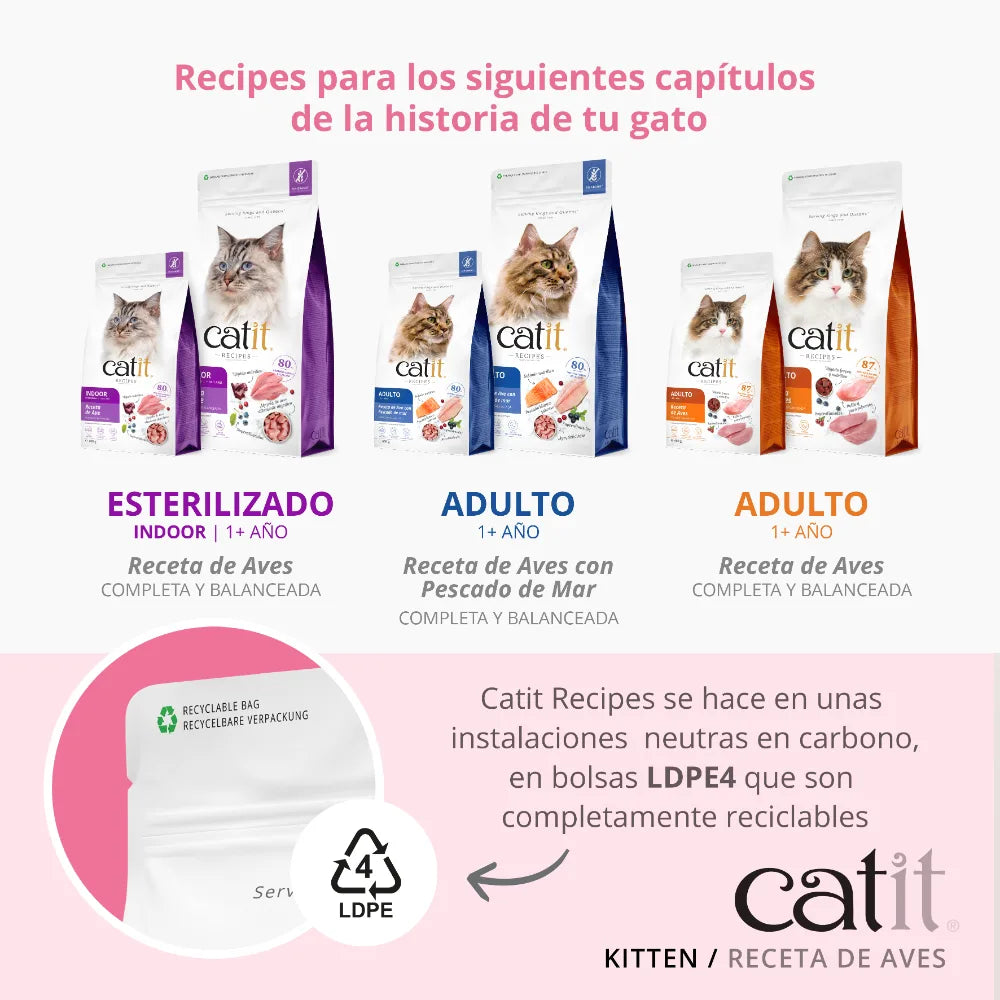 Pienso para gatito junior Catit Recipes - Receta de Aves para KITTEN