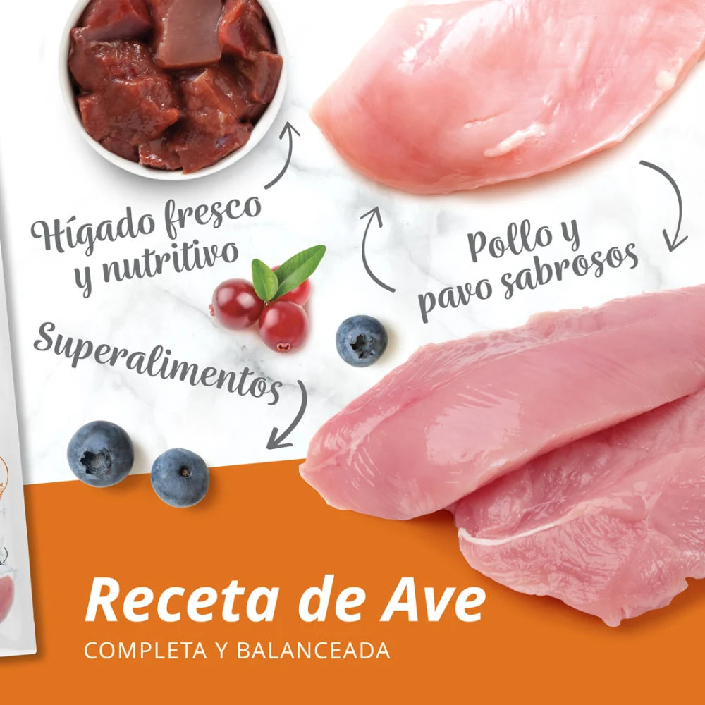 Pienso para gatos quisquillosos Catit Recipes - Receta de Aves para ADULTO