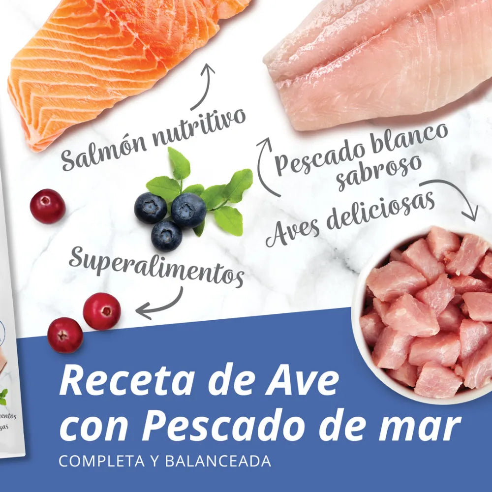 Pienso para gatos con estómago sensible Catit Recipes - Receta de Aves con Pescado de Mar para ADULTO