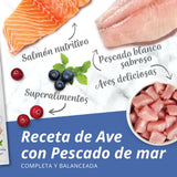 Pienso para gatos con estómago sensible Catit Recipes - Receta de Aves con Pescado de Mar para ADULTO