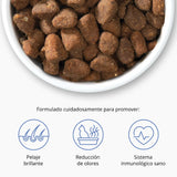 Pienso para gatos con estómago sensible Catit Recipes - Receta de Aves con Pescado de Mar para ADULTO