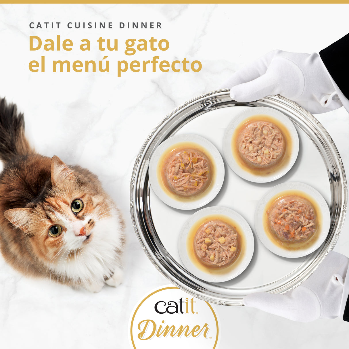 Tarrina de pollo de doble capa para gatos Catit Cuisine Dinner