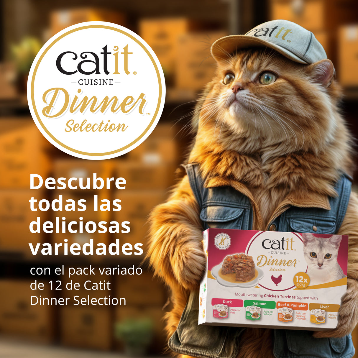 Tarrina de pollo de doble capa para gatos Catit Cuisine Dinner