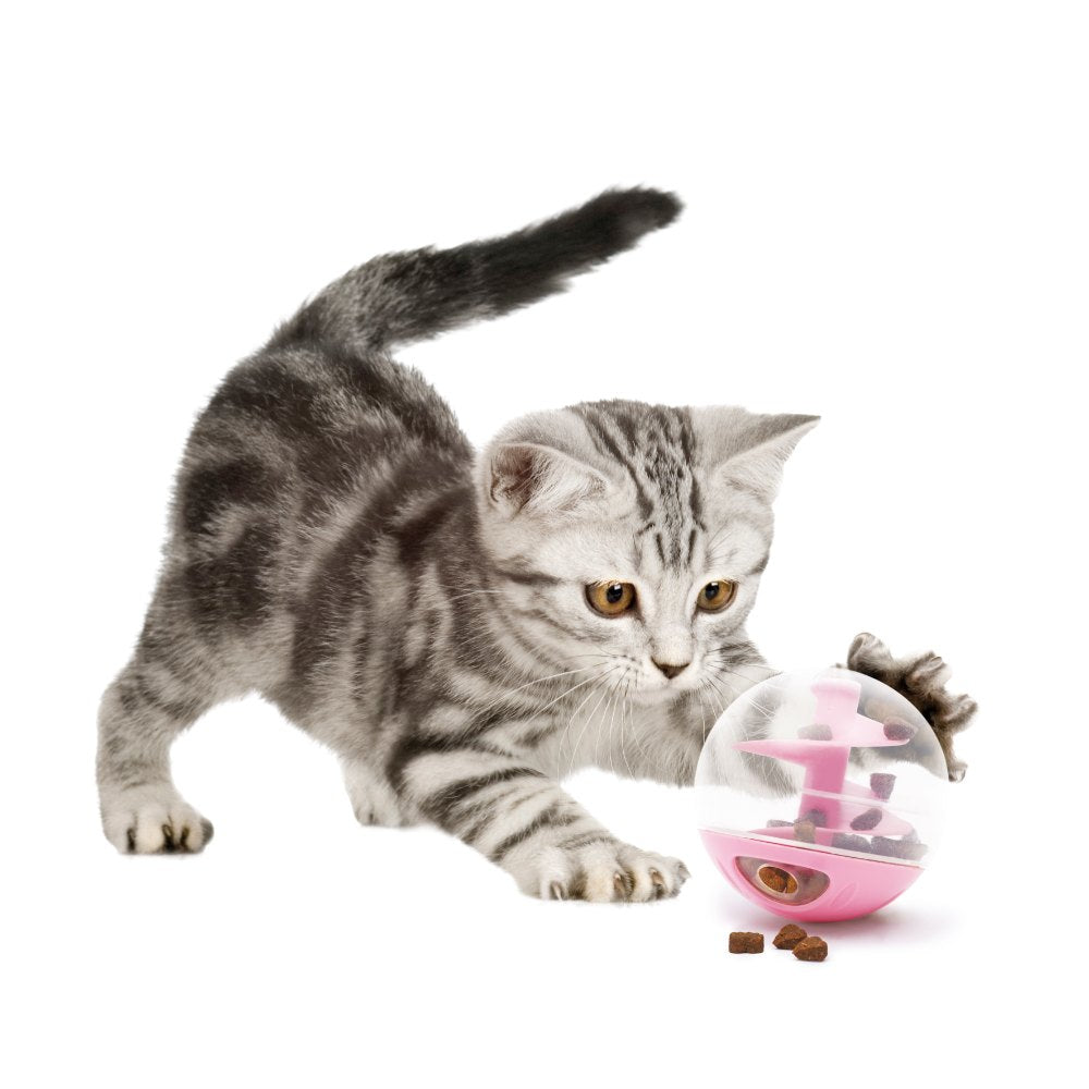 Bola dispensadora de Snacks Catit para gatos