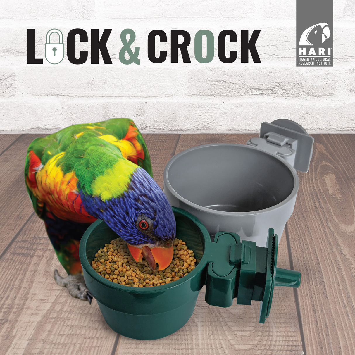 Comedero para loros Lock & Crock HARI