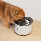 Fuente para perros Zeus Oasis