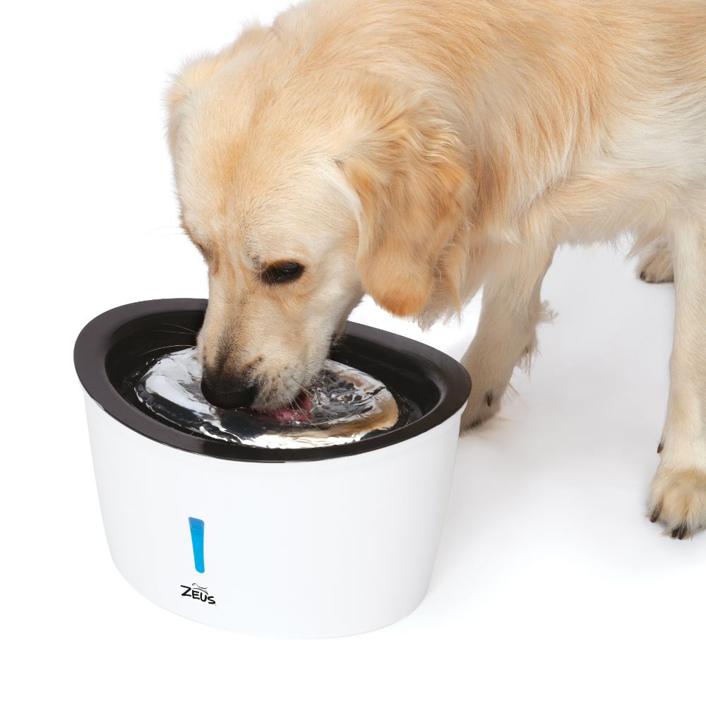 Bebedero fuente para perros Dogit H2EAU