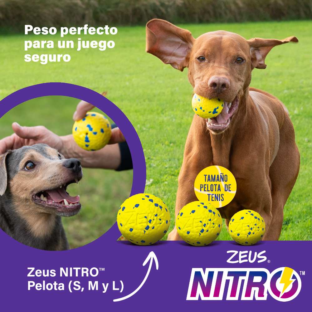 Zeus Nitro Pelotas ligeras y resistentes con núcleo de goma