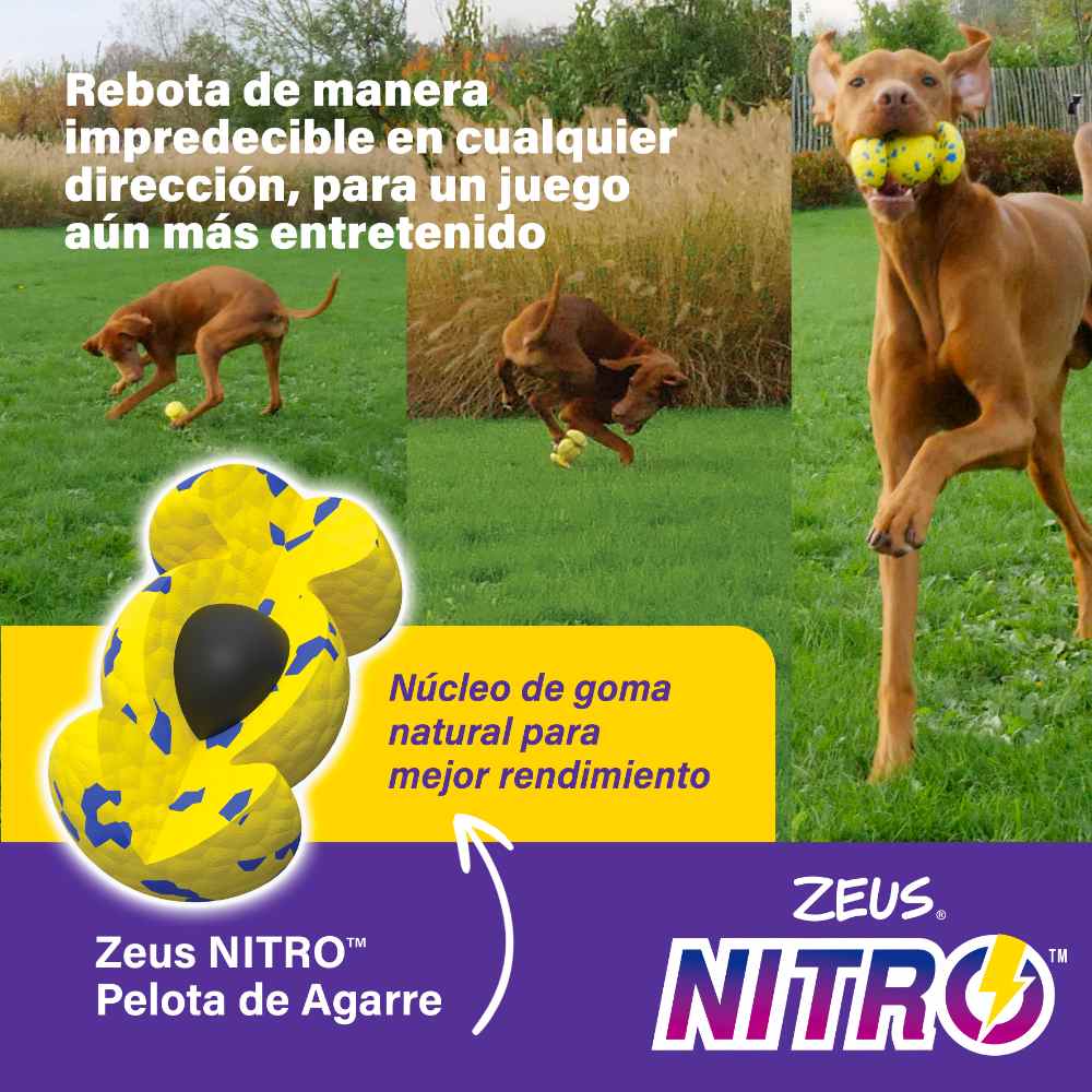 Zeus Nitro Pelota-Mancuerna ligera y resistente con núcleo de goma