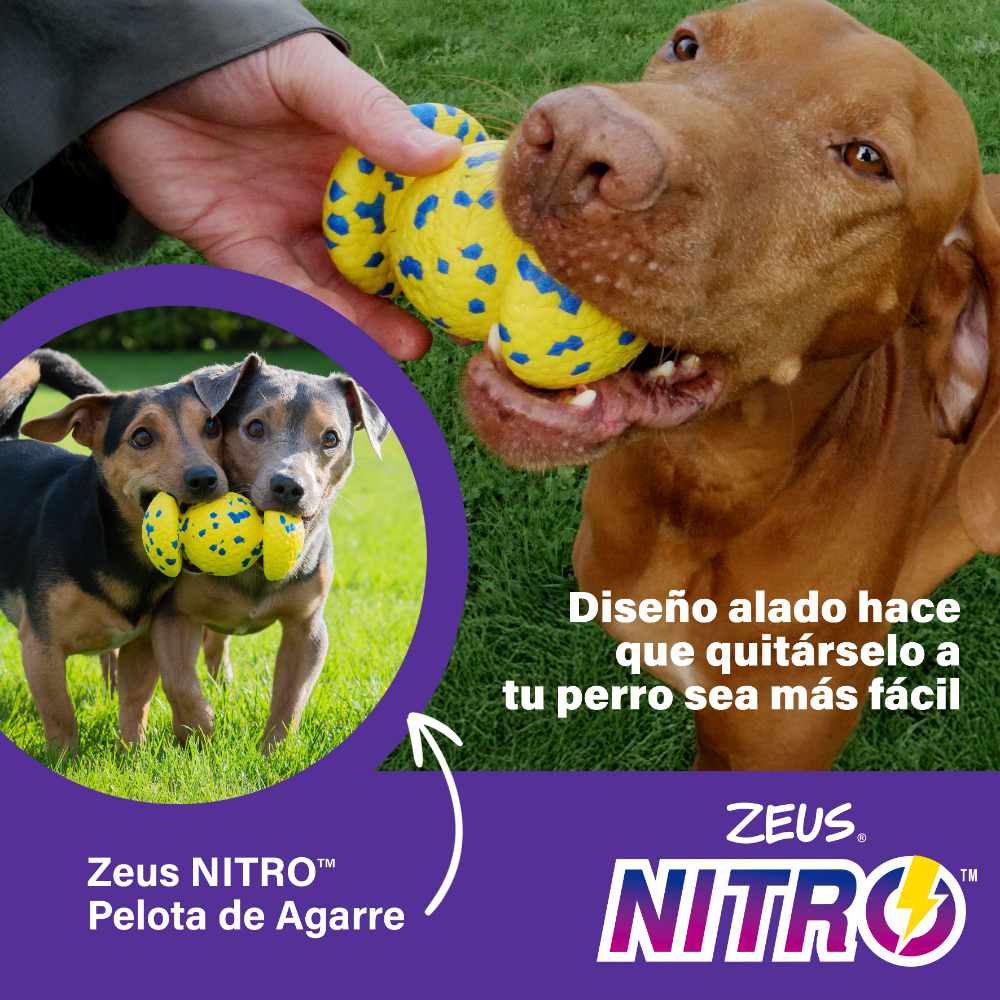 Zeus Nitro Pelota-Mancuerna ligera y resistente con núcleo de goma