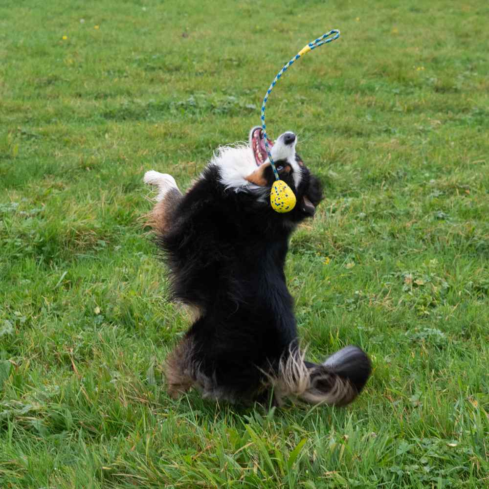 Zeus Nitro Pelota con Cuerda ligera y resistente con núcleo de goma