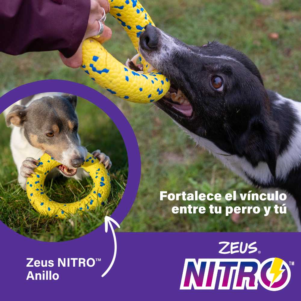 Zeus Nitro Anillo ligero y resistente