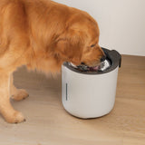Fuente para perros Zeus Oasis