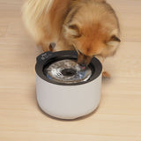 Fuente para perros Zeus Oasis Plus Inteligente