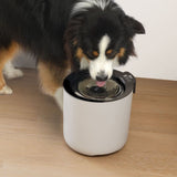 Fuente para perros Zeus Oasis Plus Inteligente