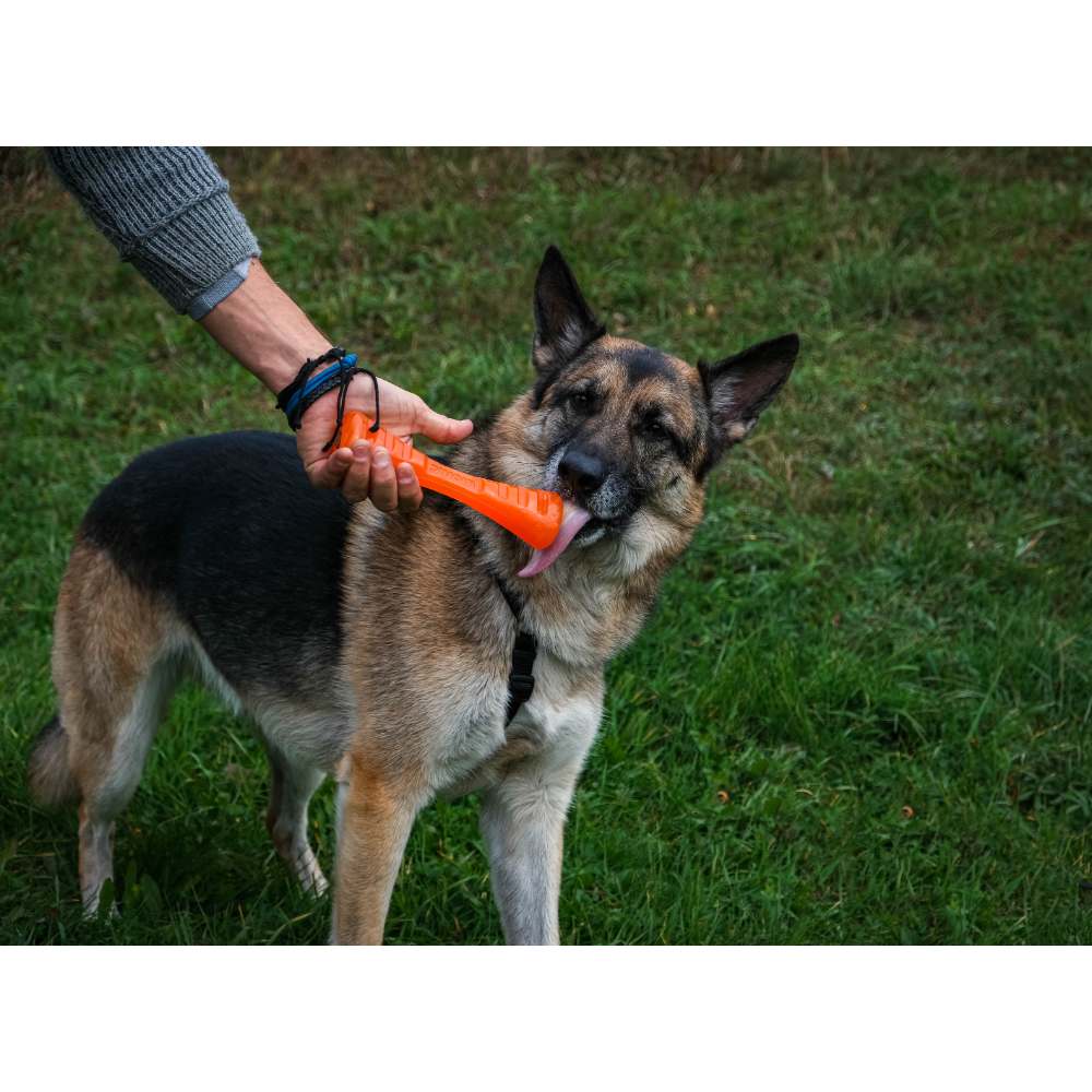 Juguetes ultra resistentes para perros BIONIC Urban Stick