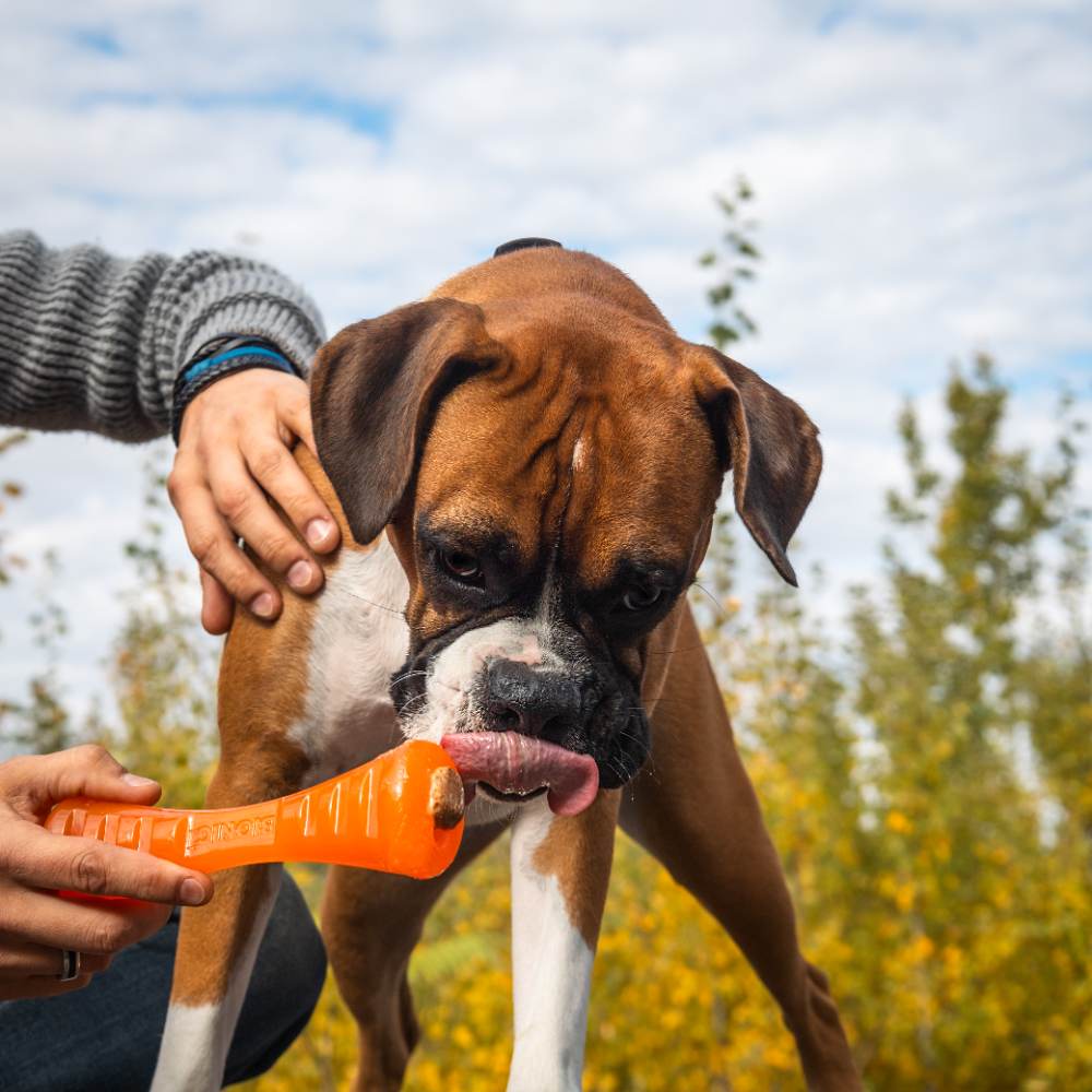 Juguetes ultra resistentes para perros BIONIC Urban Stick