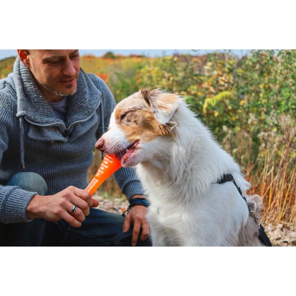 Juguetes ultra resistentes para perros BIONIC Urban Stick