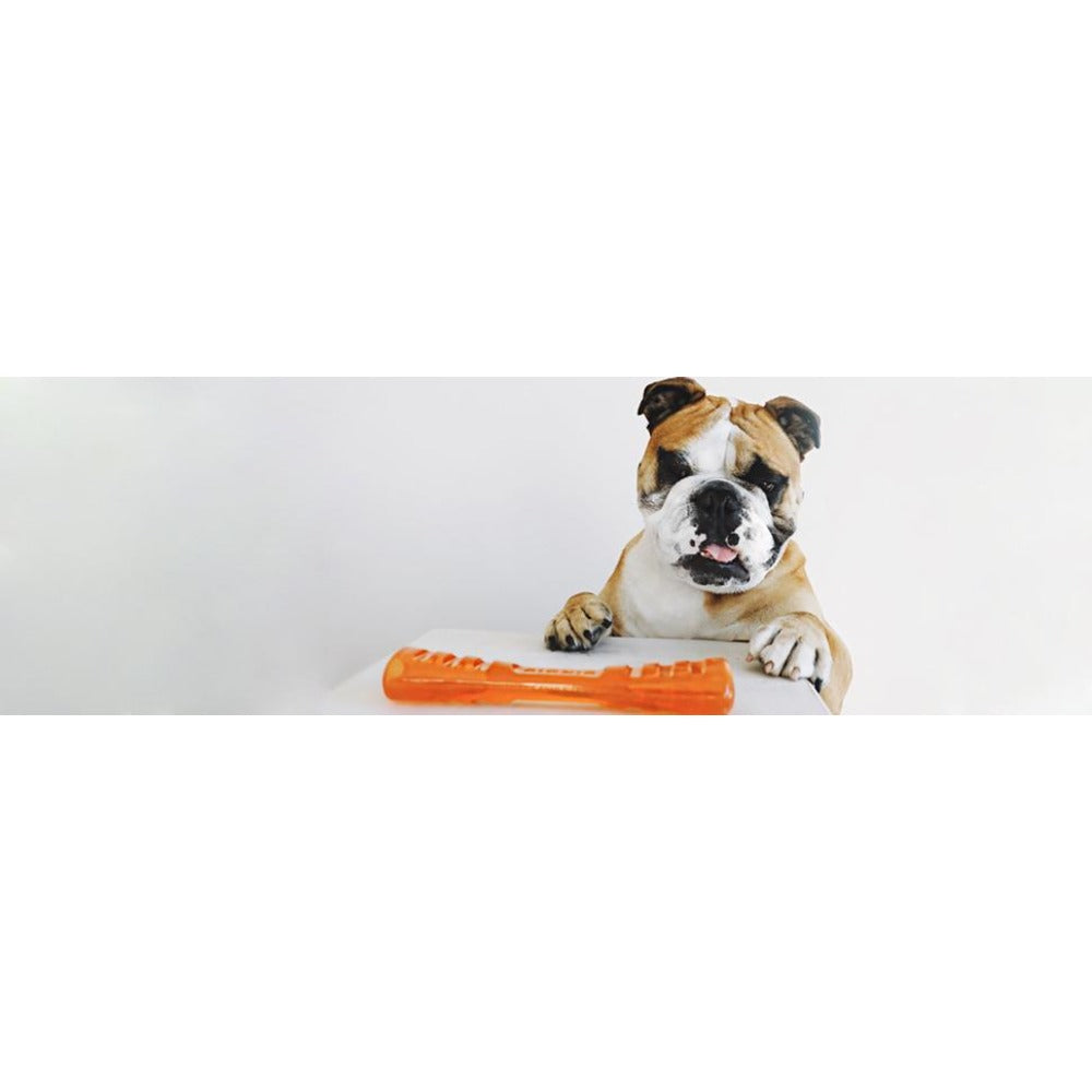 Juguetes ultra resistentes para perros BIONIC Urban Stick