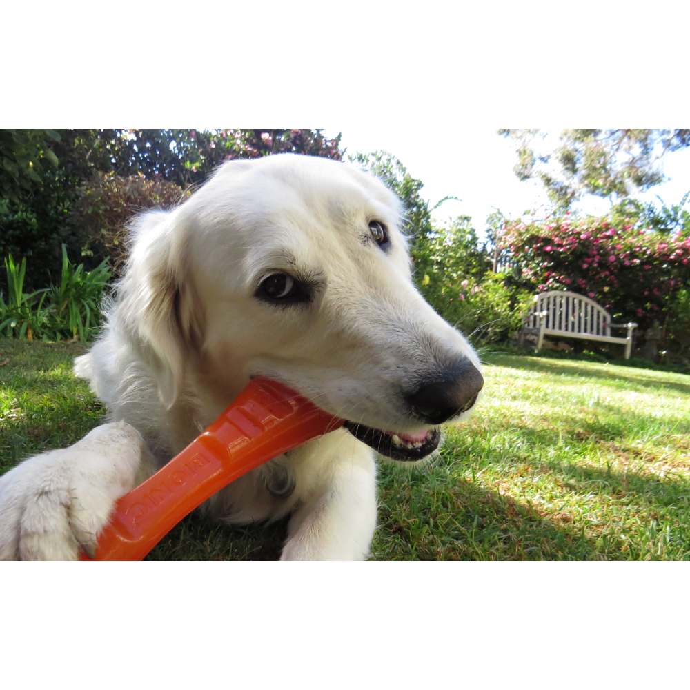 Juguetes ultra resistentes para perros BIONIC Urban Stick