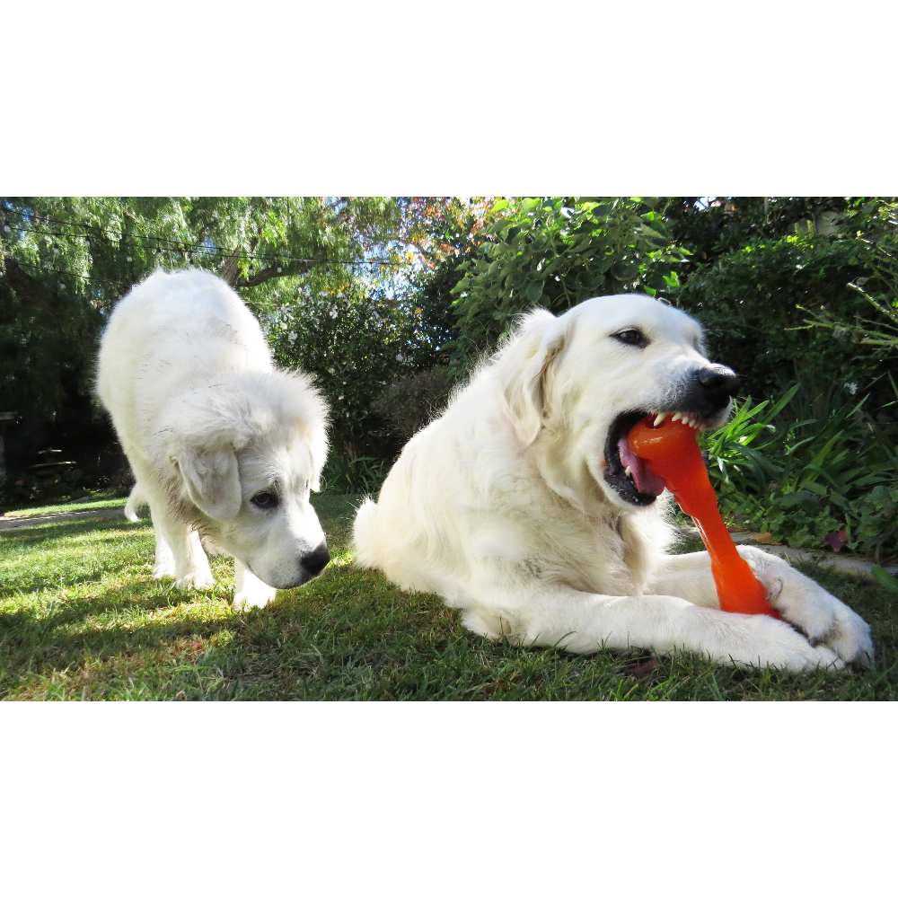 Juguetes ultra resistentes para perros BIONIC Urban Stick