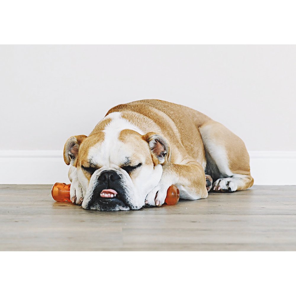 Juguetes ultra resistentes para perros BIONIC Urban Stick