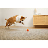 Juguetes ultra resistentes para perros BIONIC Pelota