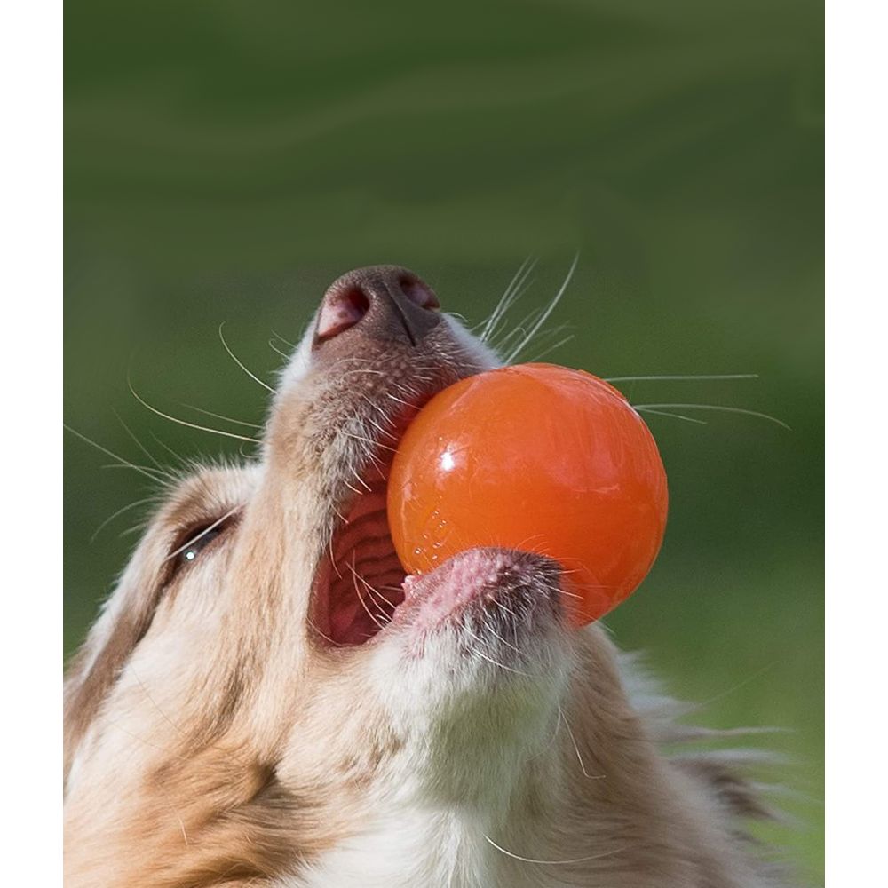 Juguetes ultra resistentes para perros BIONIC Pelota