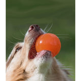 Juguetes ultra resistentes para perros BIONIC Pelota