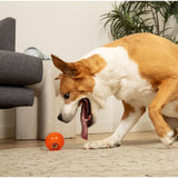 Juguetes ultra resistentes para perros BIONIC Pelota