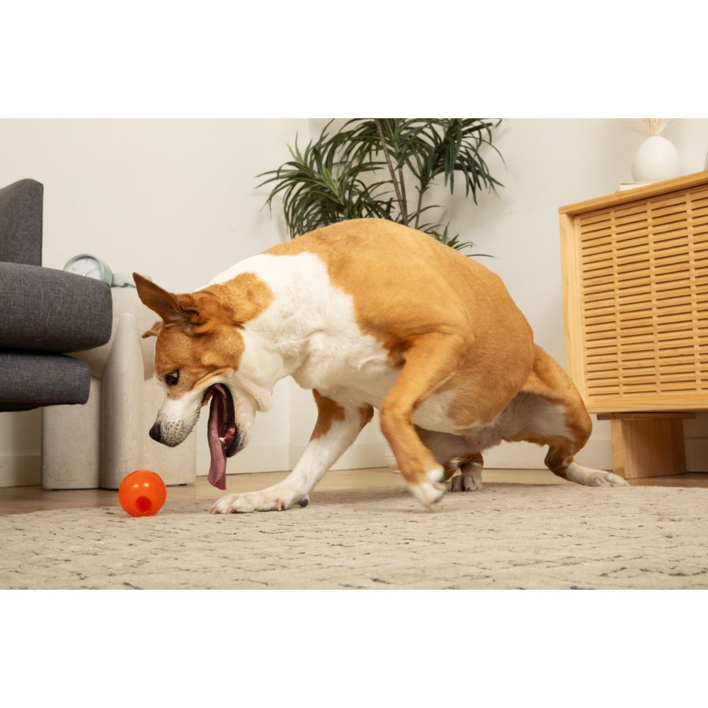 Juguetes ultra resistentes para perros BIONIC Pelota