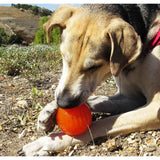 Juguetes ultra resistentes para perros BIONIC Pelota