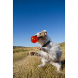 Juguetes ultra resistentes para perros BIONIC Pelota