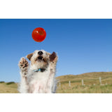 Juguetes ultra resistentes para perros BIONIC Pelota