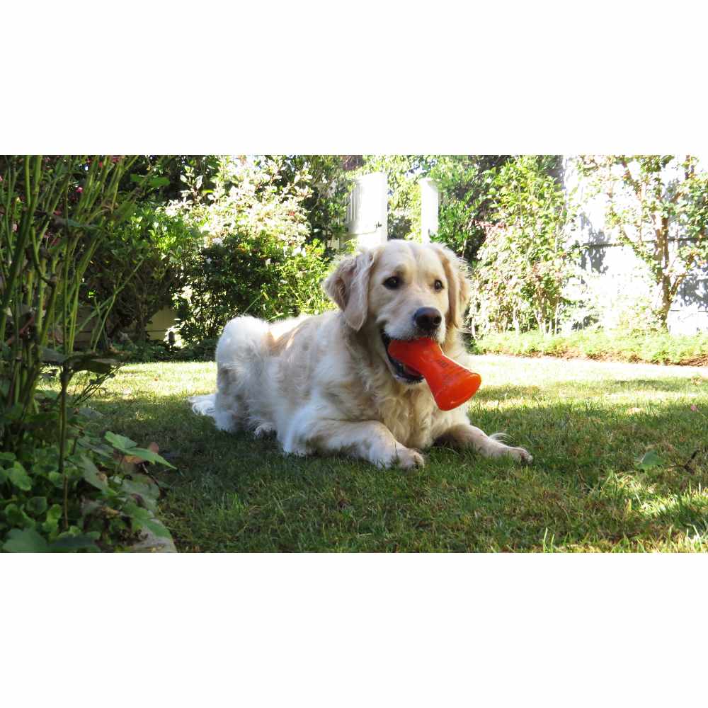 Juguetes ultra resistentes para perros BIONIC Hueso