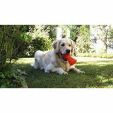 Juguetes ultra resistentes para perros BIONIC Hueso