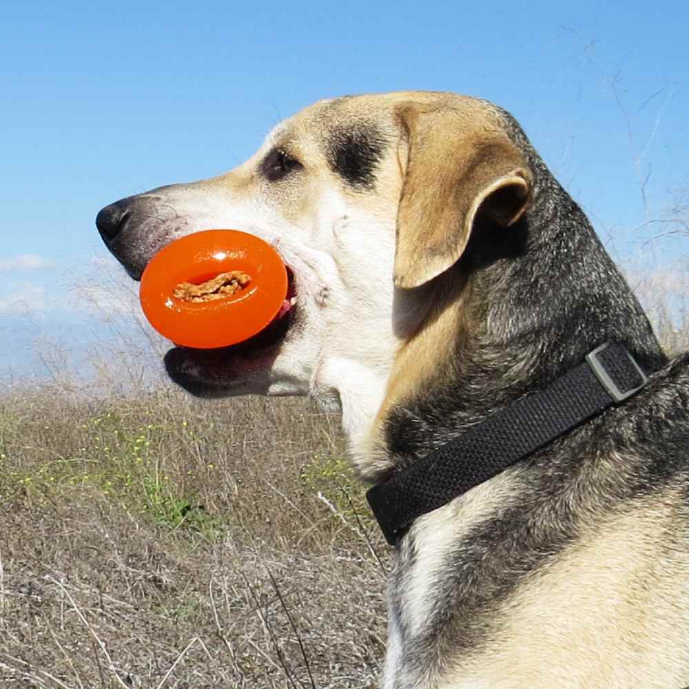 Juguetes ultra resistentes para perros BIONIC Hueso